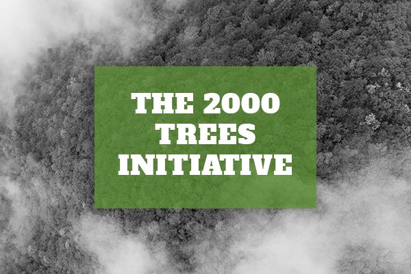 UPDATE: The 2000 Trees Initiative – How we did in 2019