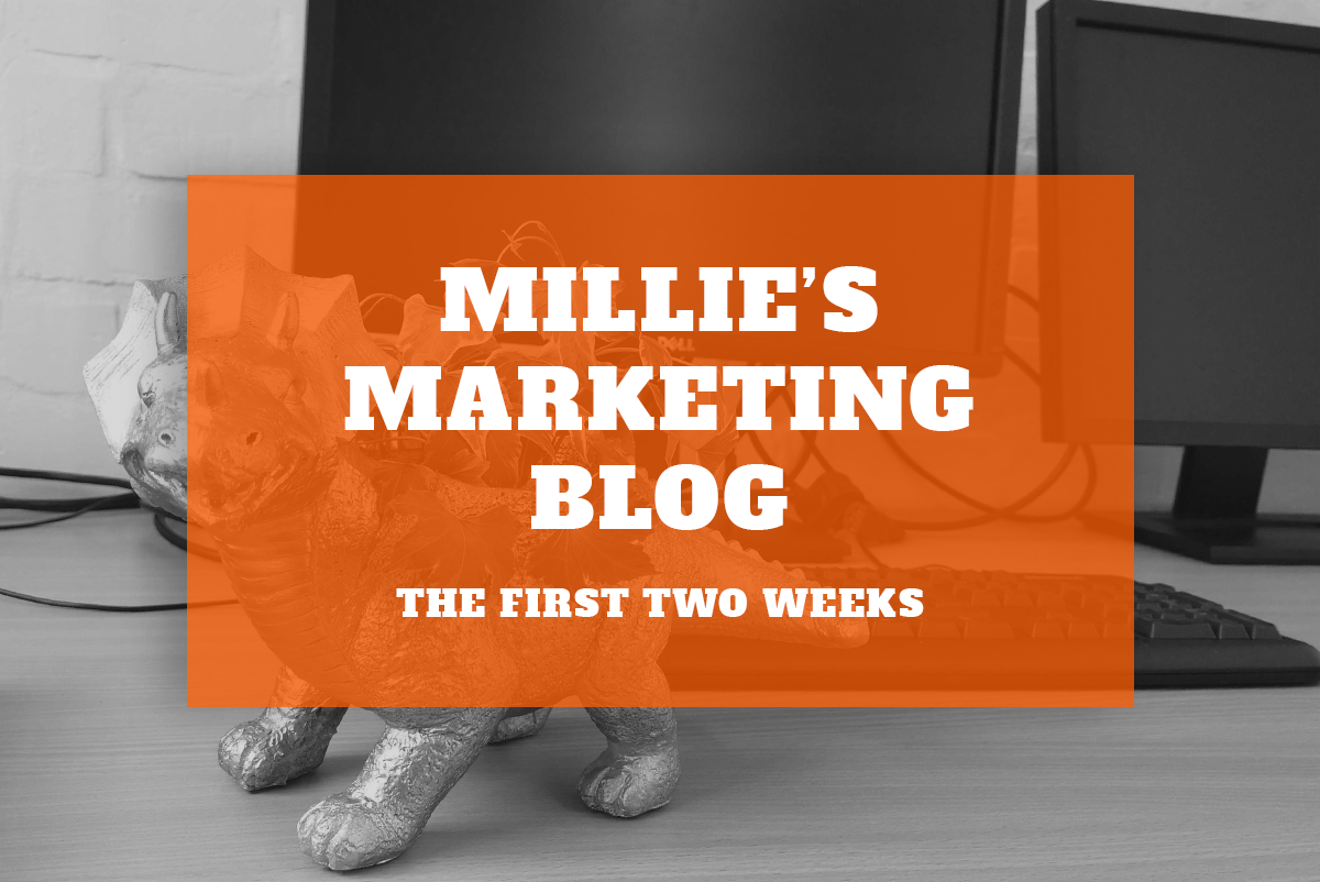Millie’s Marketing Blog – The First Two Weeks