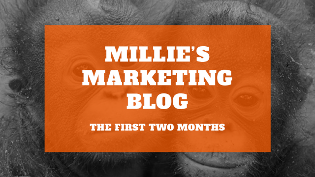 Millie’s Marketing Blog – Two Months In